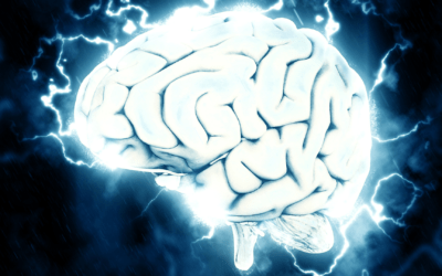 The Teen Brain & Cognitive Distortions – Part 2